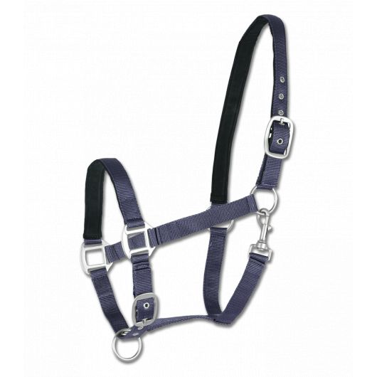 Licol nylon doublé Satin Waldhausen Licol cheval nylon doublé Satin - Waldhausen