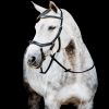 Bridon cuir cheval Micklem 2 multi-bride - Horseware 