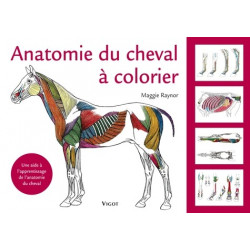 Livre Anatomie du cheval à colorier - Vigot