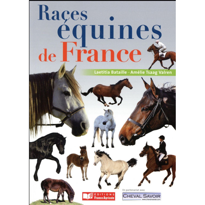 Races équines de France - France Agricole