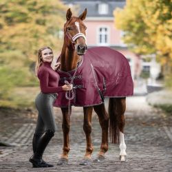 Couverture imperméable cheval doublée polaire Economic Clip'in system - Waldhausen