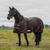 Couverture extérieur cheval 100g Economic Clip'in system - Waldhausen
