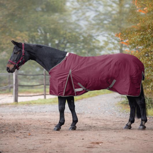 Couverture extérieur cheval 300g Economic Clip'in system - Waldhausen