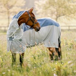 Chemise anti-mouche cheval avec couvre cou Amigo AmEco Combi - Horseware