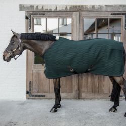 Chemise séchante cheval 4D Spacer - Kentucky Horsewear