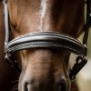 Licol cuir cheval Glamour S-Line - Waldhausen