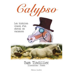 Calypso, les histoires vraies d'un cheval en vacances