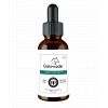 CBD Cheval - Huile CBD 30%- goût carotte - Galowade