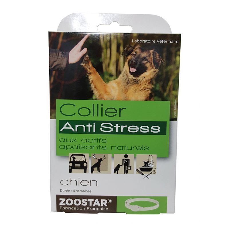 Collier chien anti-stress - Zoostar 