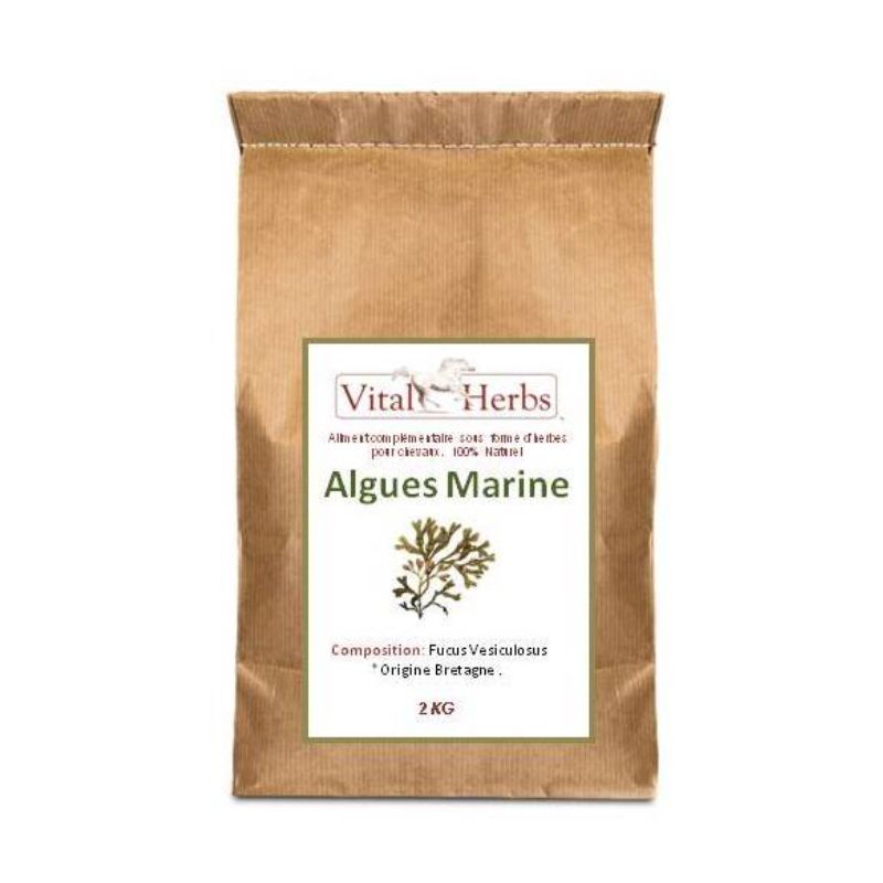 Algues marines cheval 2 kg - Vital Herbs