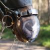 Protège-Naseaux cheval anti-encensement Net Relief - Equilibrium