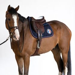 Equipement du cheval - Equestra