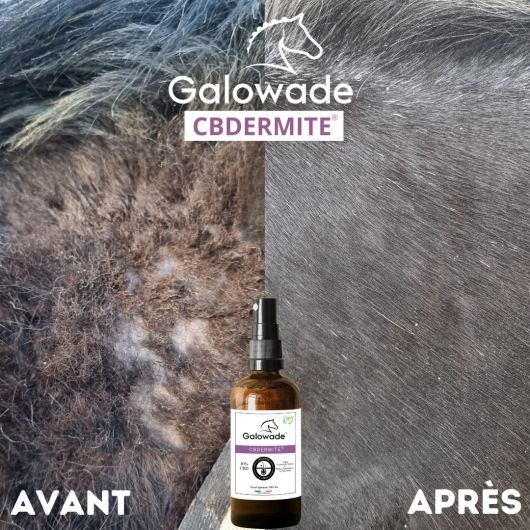 CBDERMITE Huile apaisante démangeaisons cheval 10% - Galowade