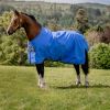 Couverture imperméable cheval Amigo Hero 0gr - Horseware