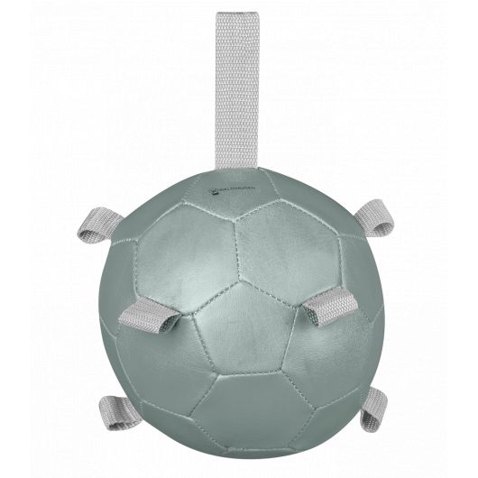 Balle à carottes enrichissement cheval - Waldhausen