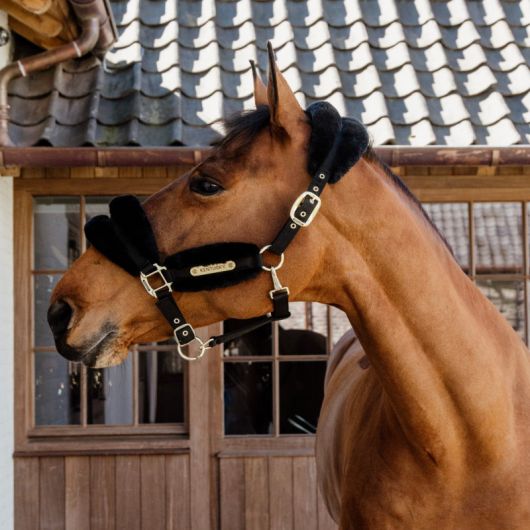 Licol cheval en mouton Soft - Kentucky Licol cheval en mouton Soft - Kentucky