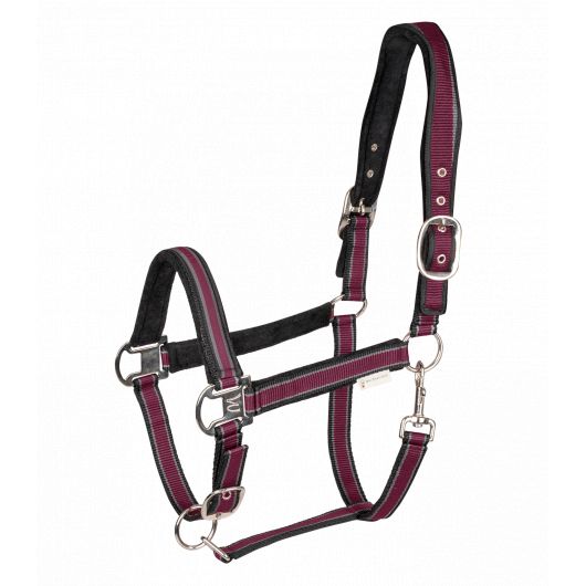 Licol nylon cheval Atheltic - Waldhausen 