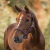 Licol nylon cheval Atheltic - Waldhausen 