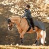 Couvre-reins imperméable cheval Nashville - Waldhausen 