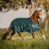 Couverture extérieur cheval 0g Comfort Clip'in system - Waldhausen