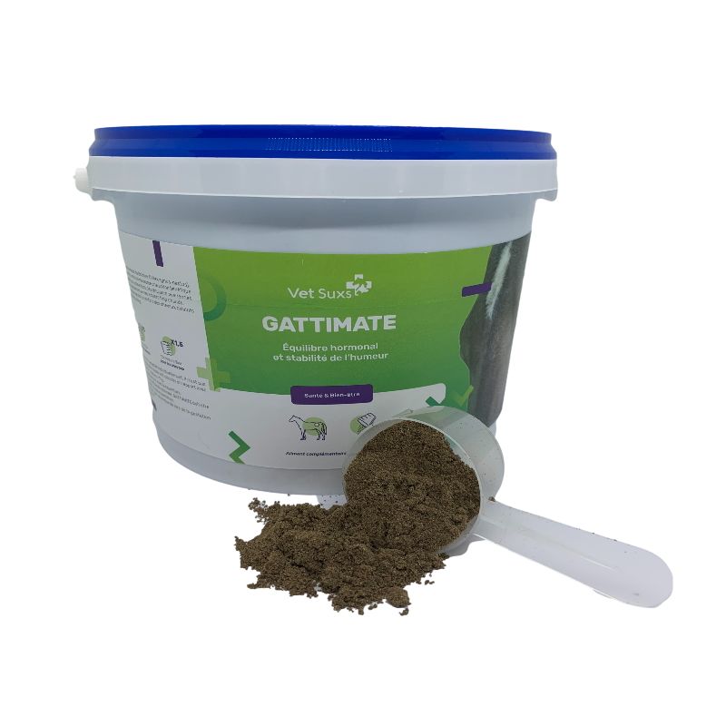 Gattimate équilibre hormonal cheval - Vet-Suxs