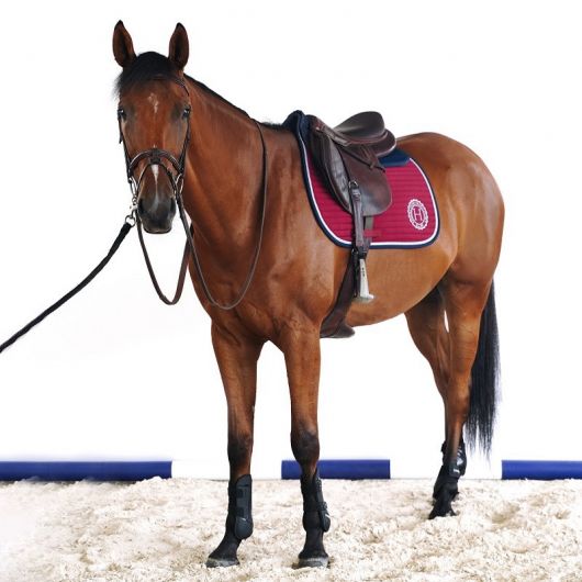 Tapis de selle cheval Karembar - Harcour