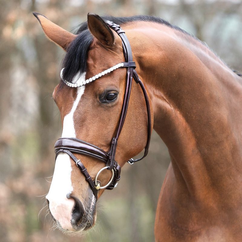 Bridon cheval anatomique Florina - Kavalkade 