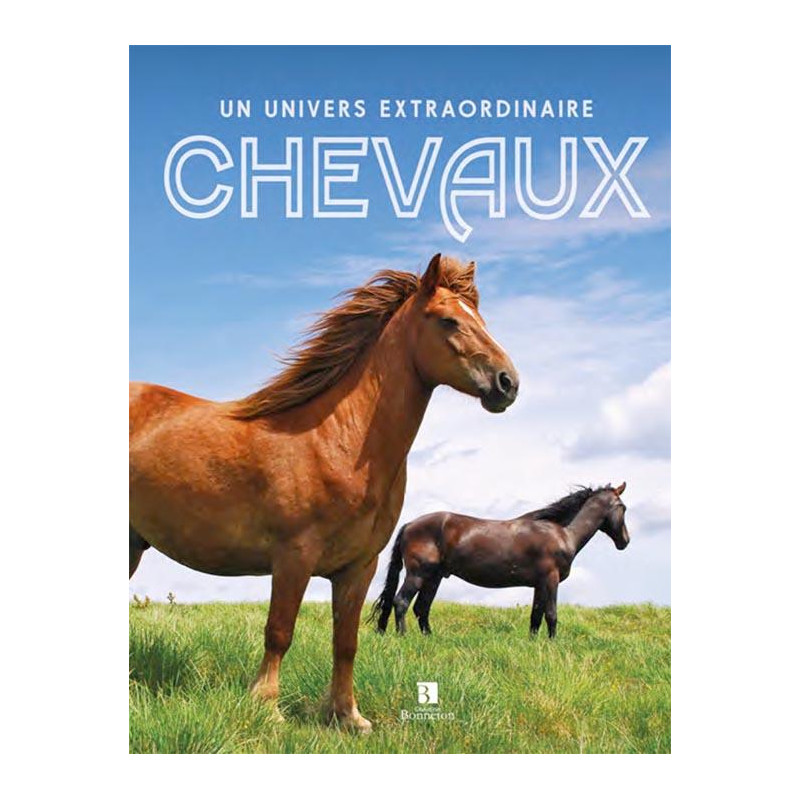 L/PNR DU LUBERON A CHEVAL-(carthoteque)