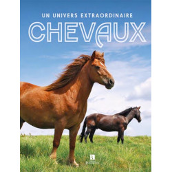 L/PNR DU LUBERON A CHEVAL-(carthoteque)