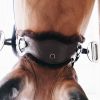 Sangle cheval dressage anatomique courte mouton - Kentucky 