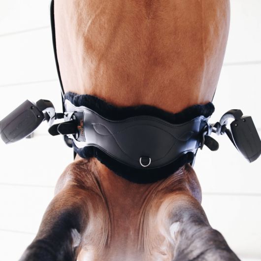 Sangle cheval dressage anatomique courte mouton - Kentucky 