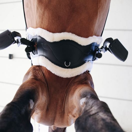Sangle cheval dressage anatomique courte mouton - Kentucky 