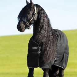 Couverture écurie cheval 400 g Rambo Stable - Horseware