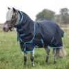 Couverture imperméable poney Amigo Hero 6 Petite Plus 200g - Horseware