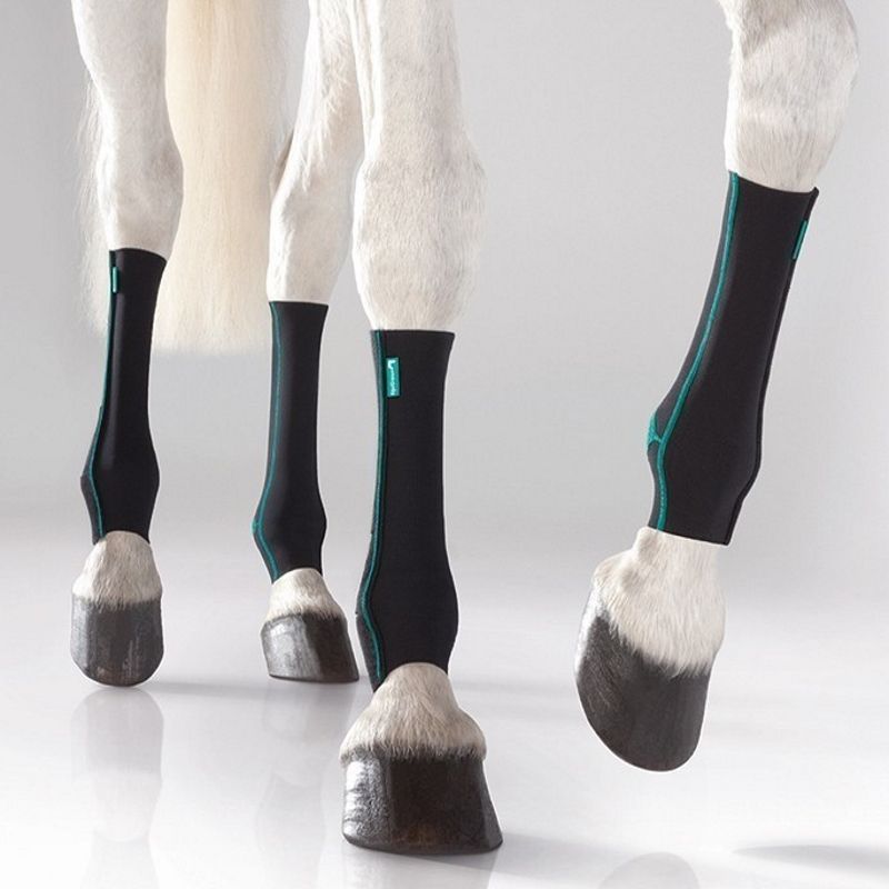 Chaussette de compression cheval Equicrown Fit silver care