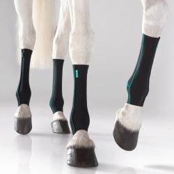 Chaussette de contention cheval Active Compression zip - Equicrown