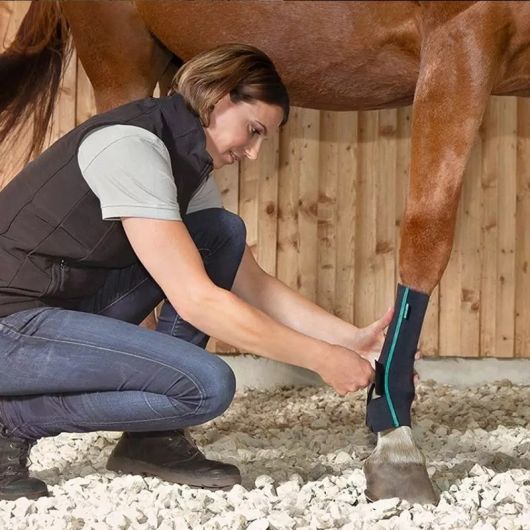 Chaussette de contention cheval Active Compression zip - Equicrown