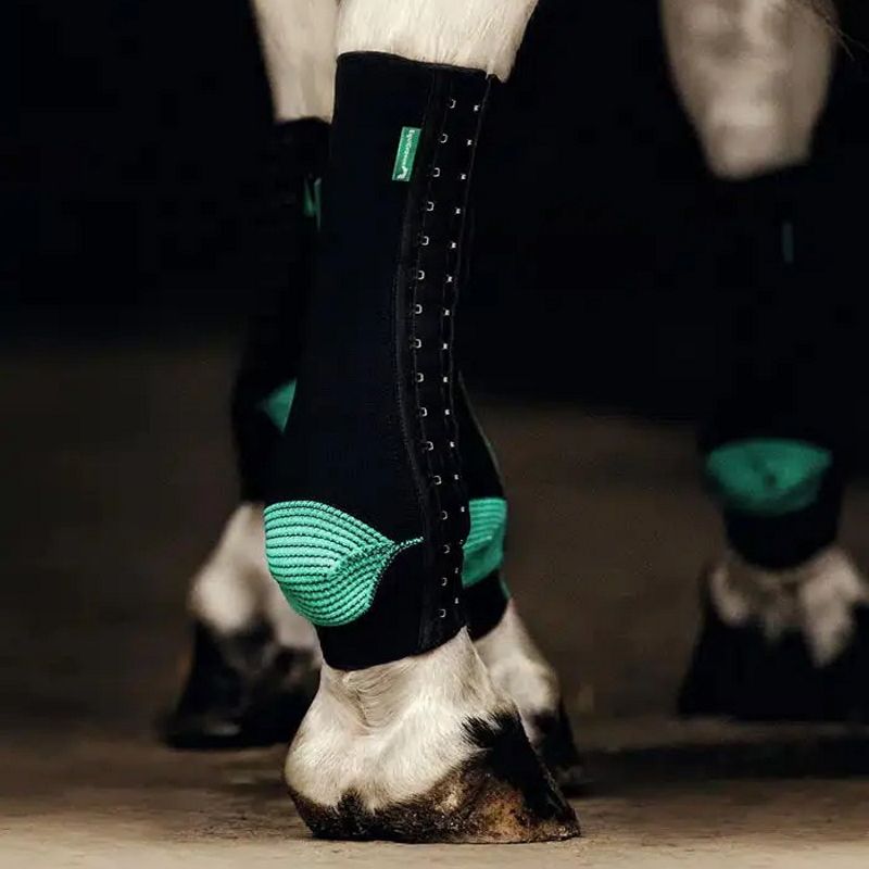 Chaussettes de contention poney Equiflexsleeve - Le Paturon