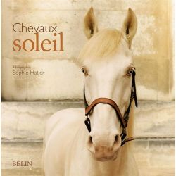 Chevaux Soleil - Belin