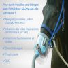 Inhalateur à ultrasons cheval complet Air One