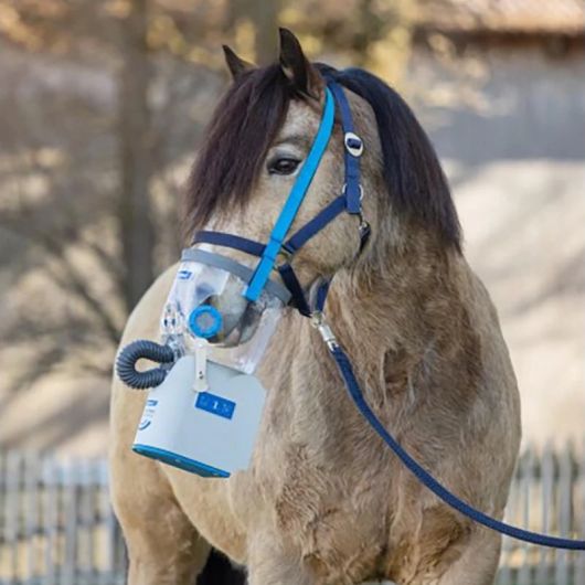 Inhalateur à ultrasons cheval complet Air One Flex sans fil - Hippomed