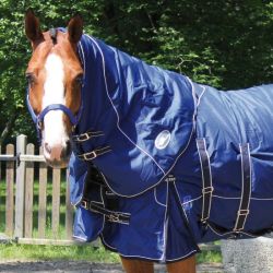 Couvre-cou cheval couverture Belly Iceland 400g - Performance