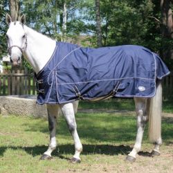 Chemise en coton cheval - Performance 