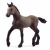 Figurine poulain Paso Péruvien - Schleich 