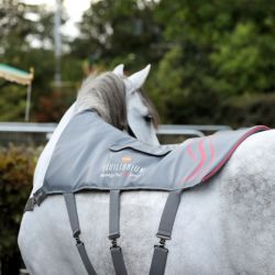 Tapis de massage cheval Heatsense - Equilibrium