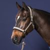 Licol nubuck cheval transport et grooming New English Collection - Dy'on 