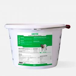 Carotène fertilité jument et étalon 9kg - Reverdy