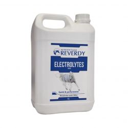 Electrolytes liquide cheval 5l - Reverdy