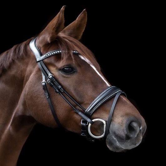 Bridon cheval cuir Glamour S-Line - Waldhausen Bridon cheval cuir Glamour S-Line - Waldhausen