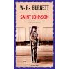 Saint Johnson - Acte Sud